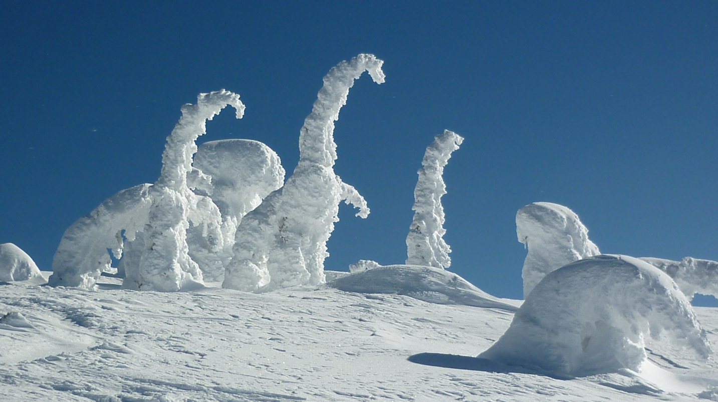 ice ghosts